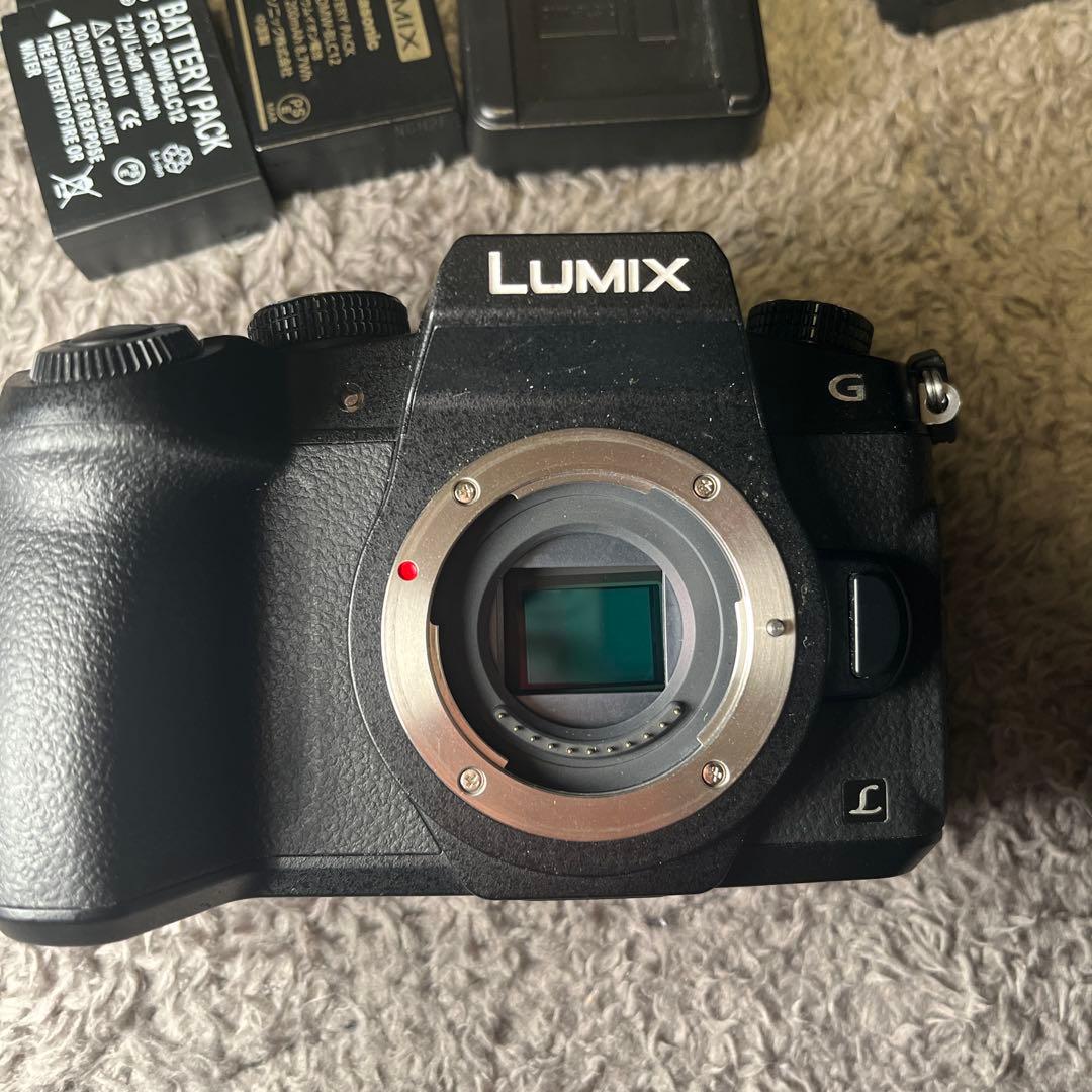 Panasonic DMC-G8 ミラーレス一眼　おまけ付き