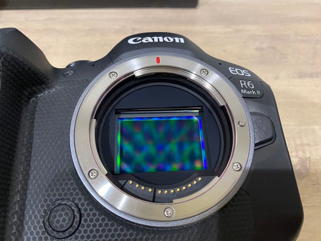 Canon EOS R6 Mark II 本体