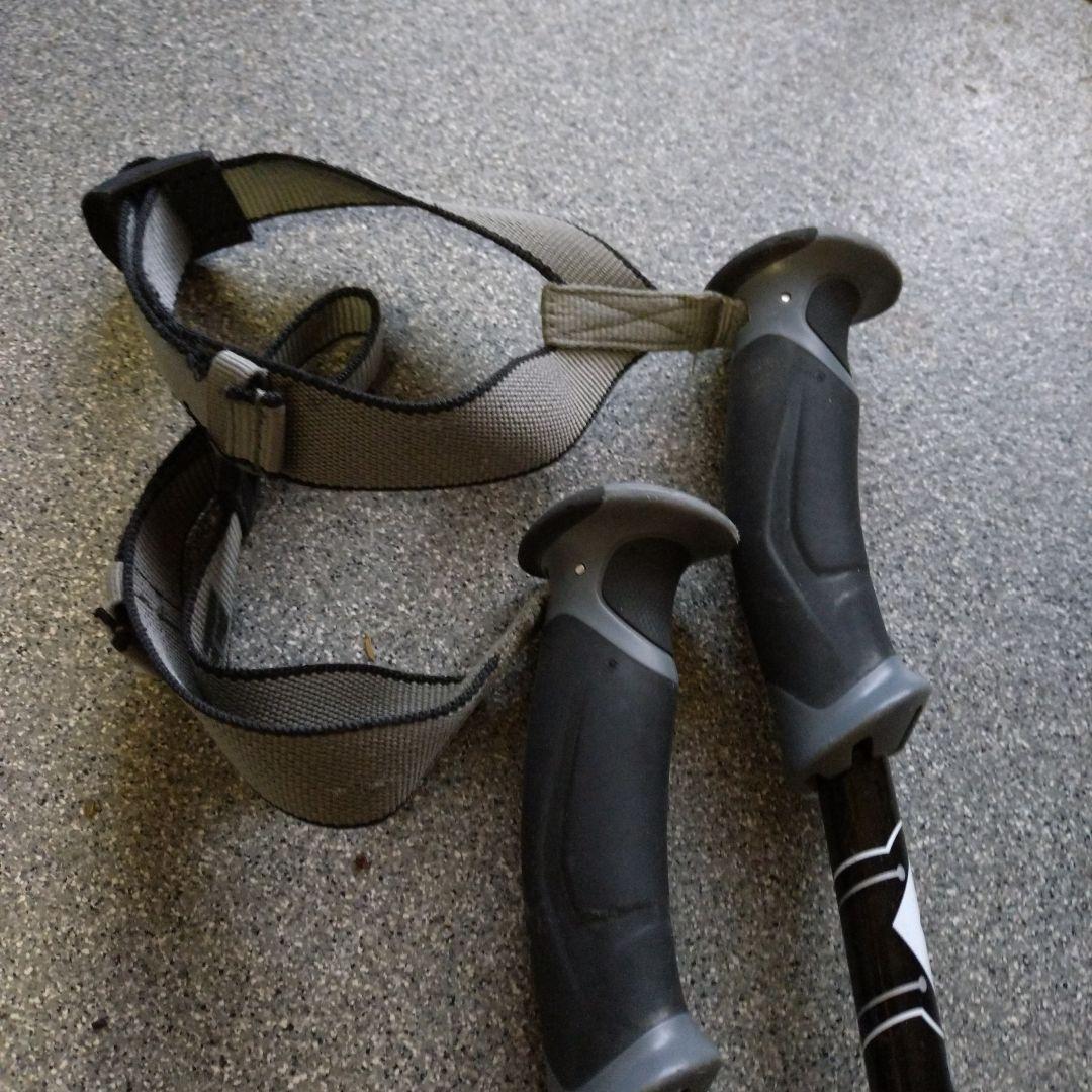  ストック カーボン