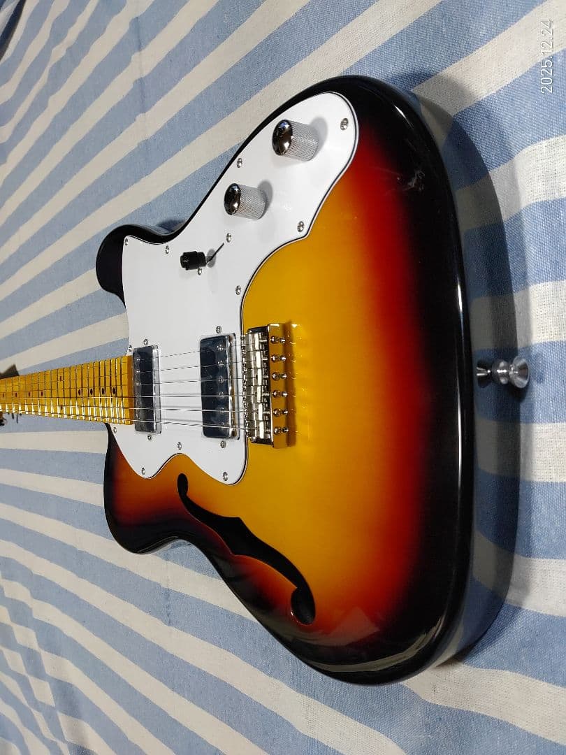 DonnerのテレキャスターThinlineタイプのDJC-1000Sほぼ未使用