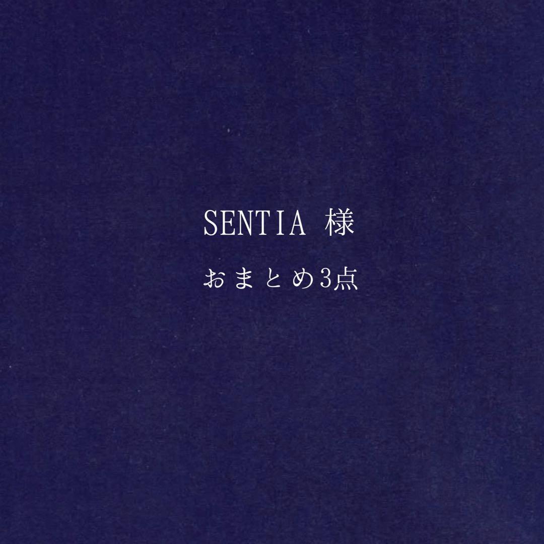 SENTIA様 リクエスト 3点 まとめ商品