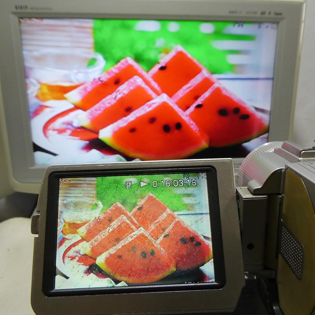 動作品 ソニー DCR-TRV20 MiniDVビデオカメラ　DVD化に最適