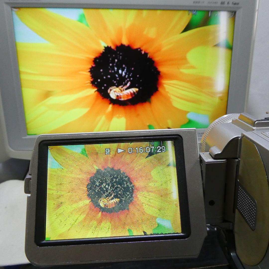 動作品 ソニー DCR-TRV20 MiniDVビデオカメラ　DVD化に最適