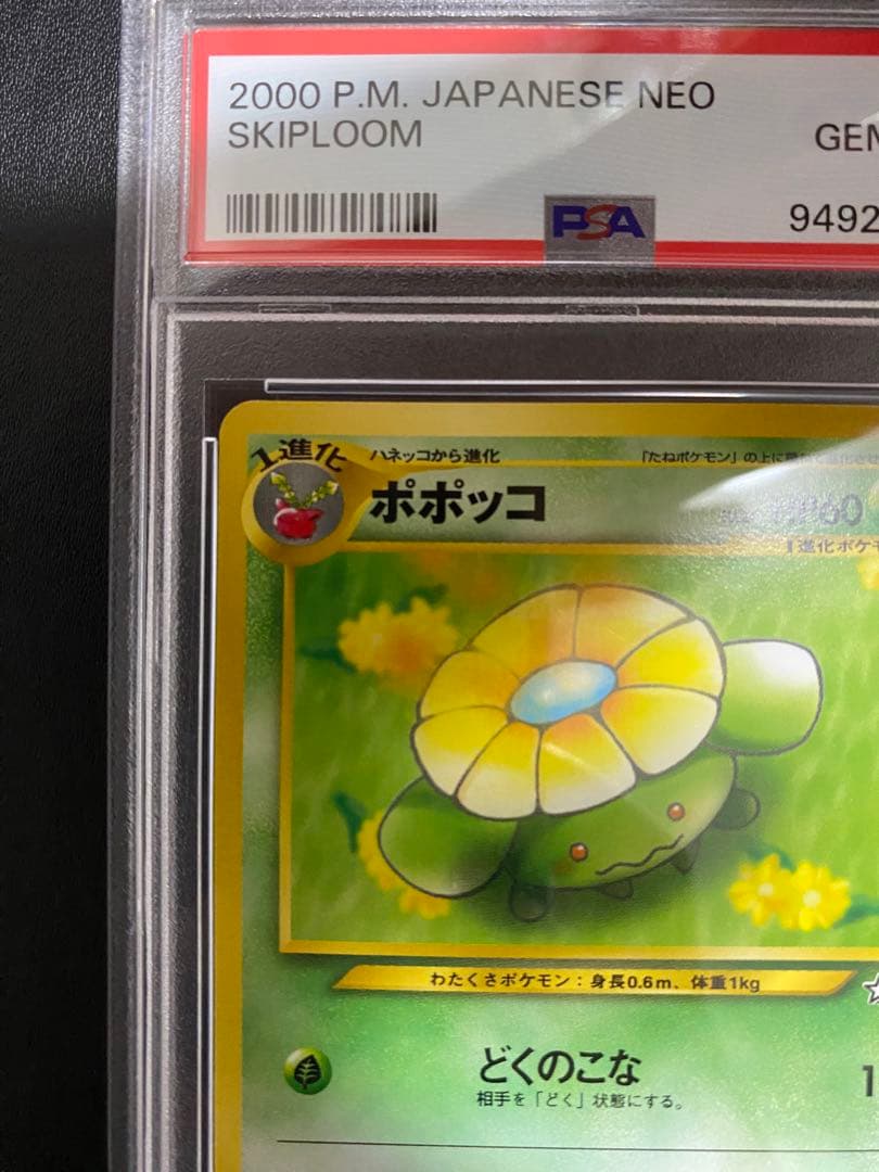 ポポッコ 旧裏 psa10 世界で17枚　ポケモンカード