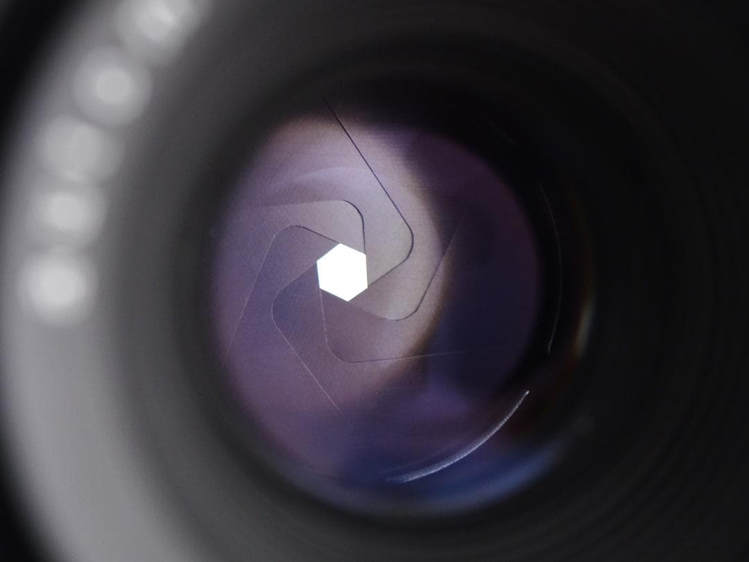 M42 MEYER OPTIK DOMIPLAN 50mm f2.8 ドミプラン