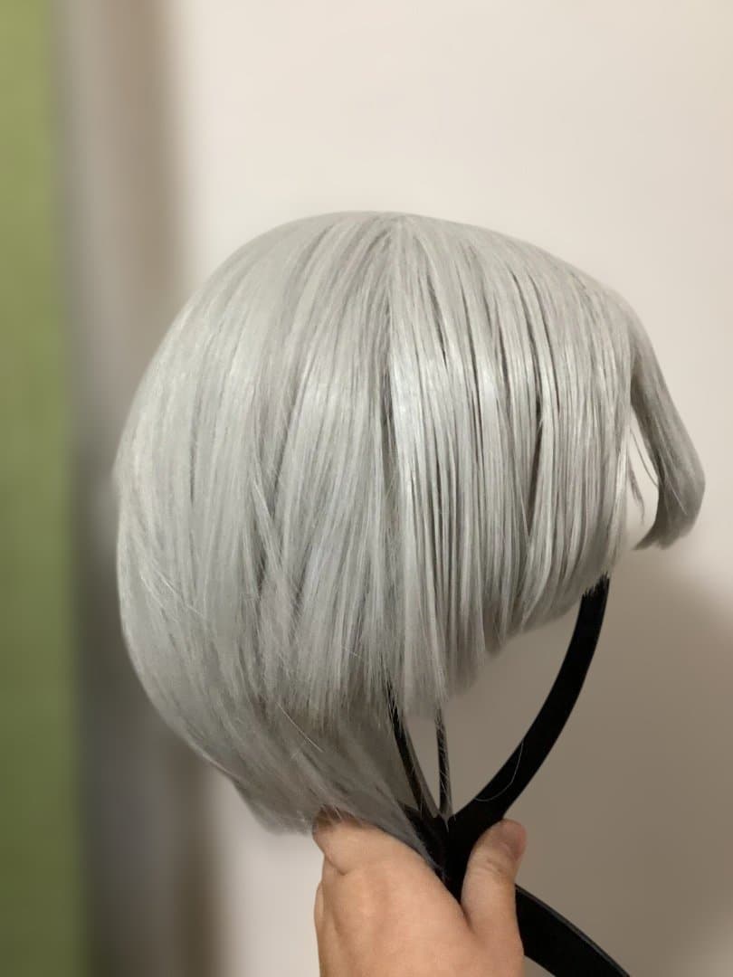 Dr.STONE　西園寺羽京　コスプレ衣装　ウィッグ付き