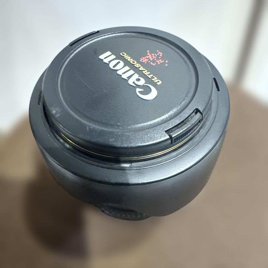 Canon 24-105mm f4 L 1型