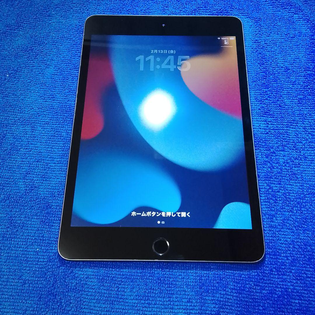 iPad Mini 5 本体 ジャンク