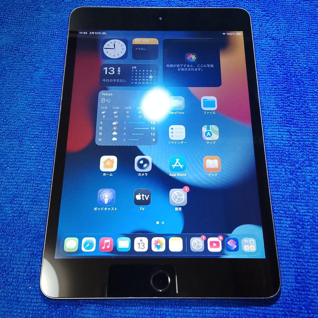 iPad Mini 5 本体 ジャンク