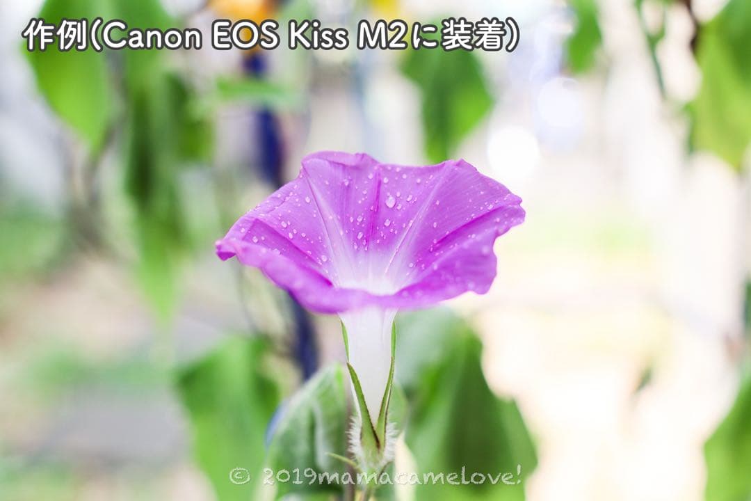 TTArtisan 35mm f1.4 EOS Mマウント用