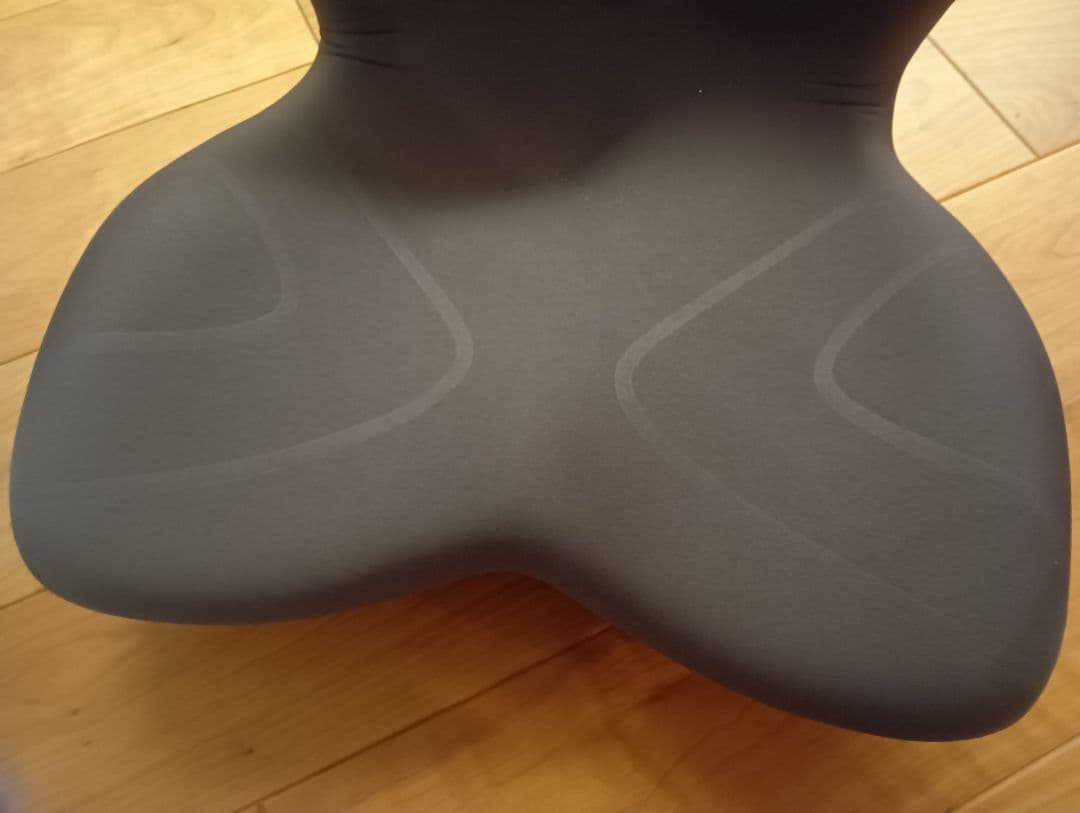 Style PREMIUM MTG 骨盤サポートチェア 座椅子