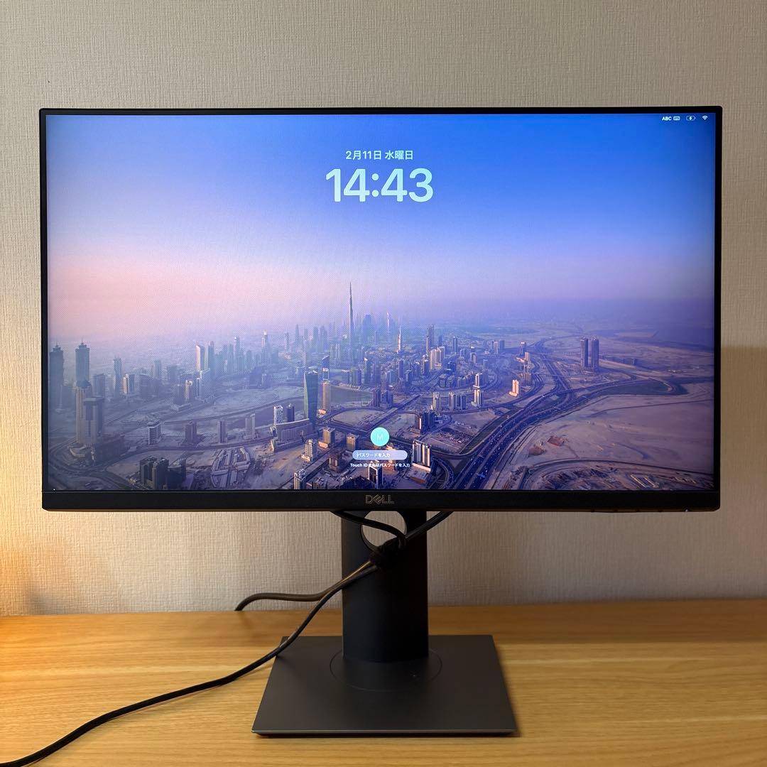 【送料込み】DELL P2419HC 23.8インチ モニター USB-C対応