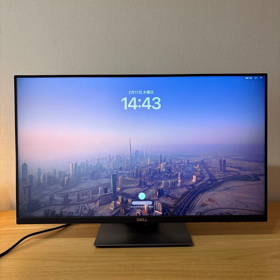 【送料込み】DELL P2419HC 23.8インチ モニター USB-C対応