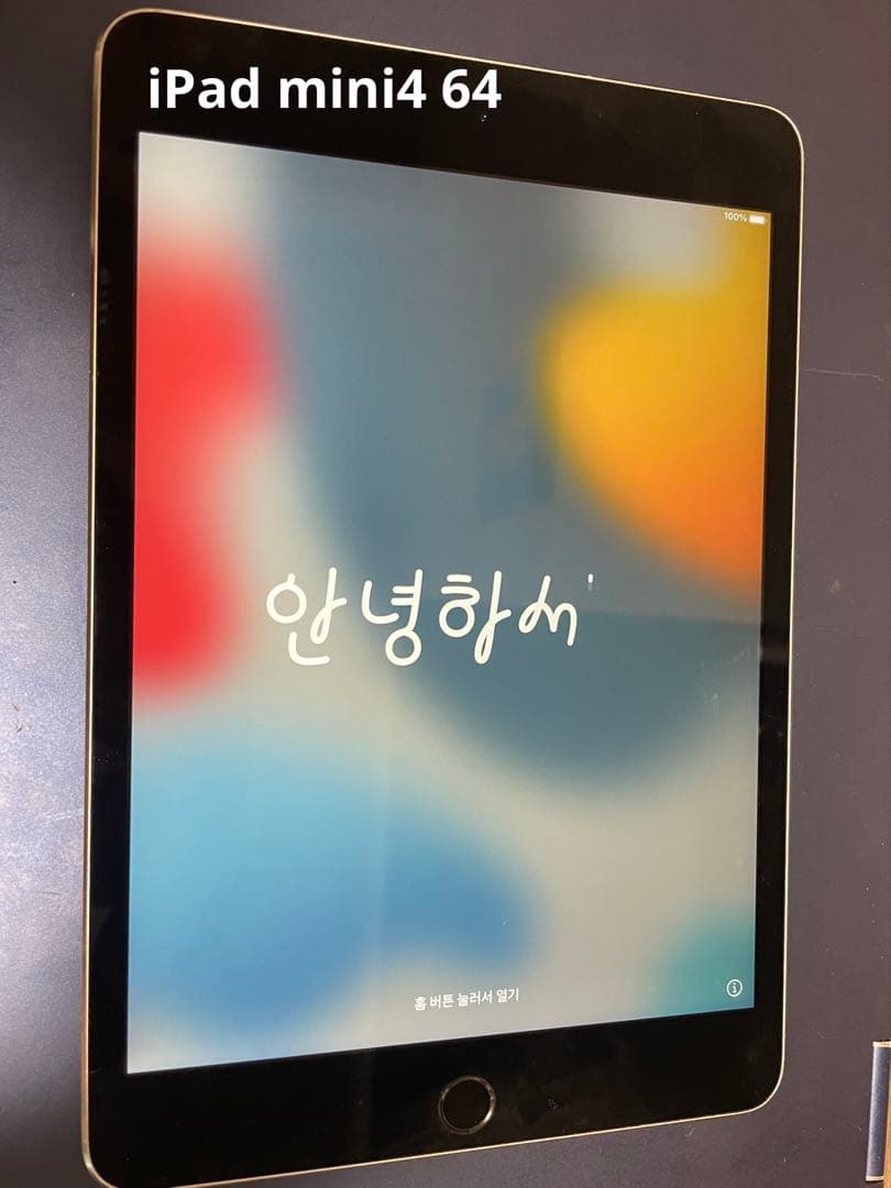 Apple iPad mini4 64 本体