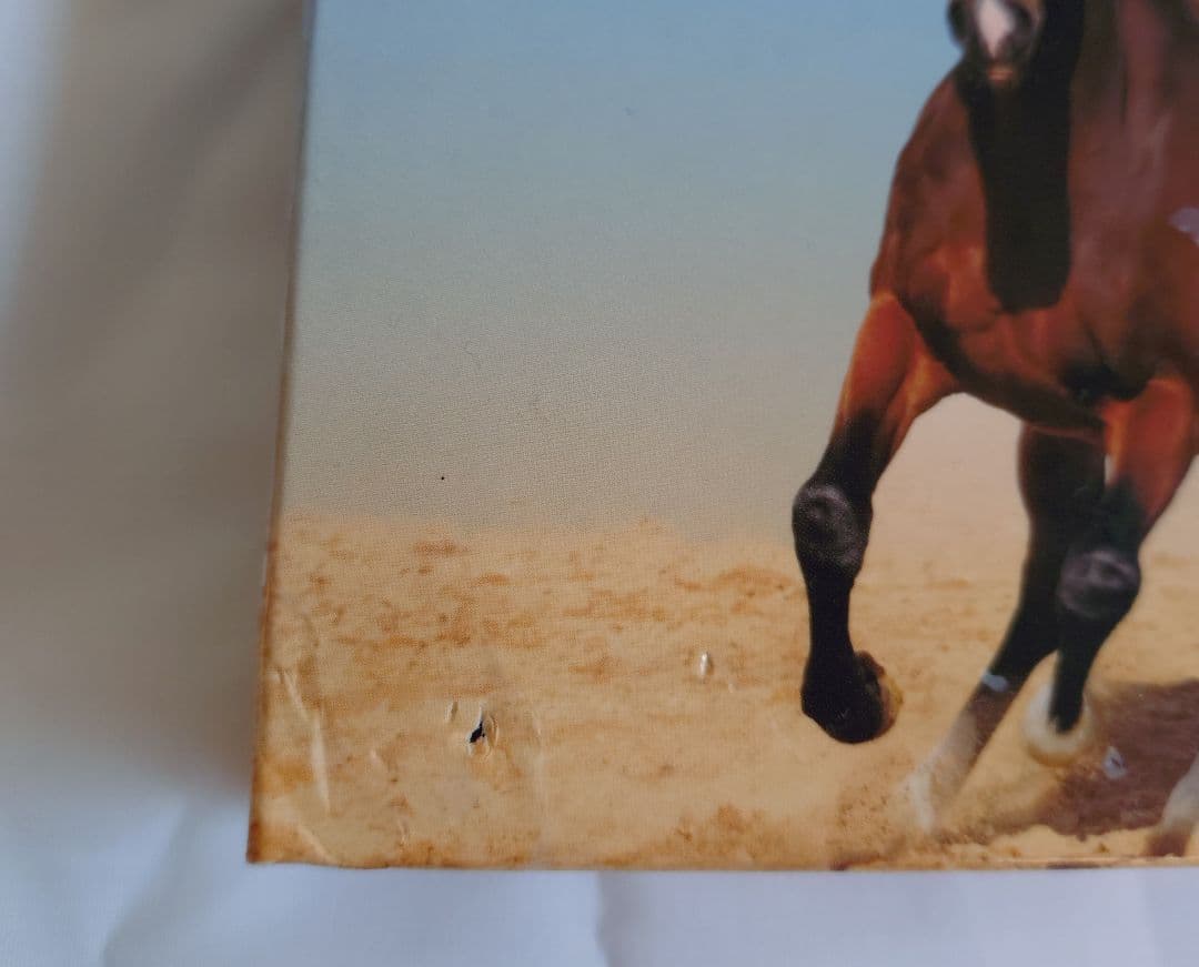 Perth Mint Year of the Horse2014 銀貨 4枚