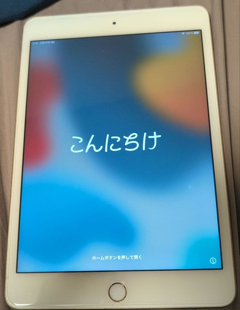 iPad mini4 32GB Cellular　美品