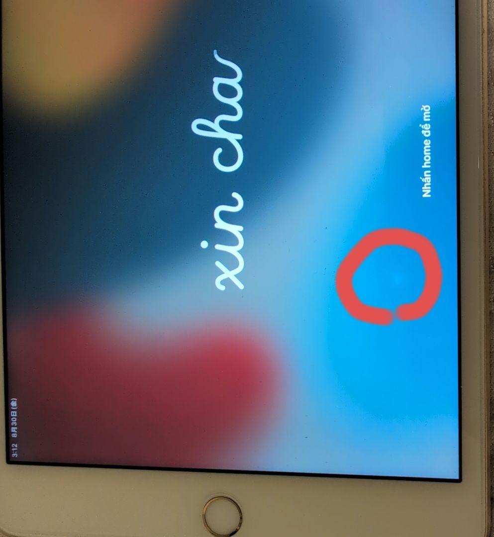 iPad mini4 32GB Cellular　美品