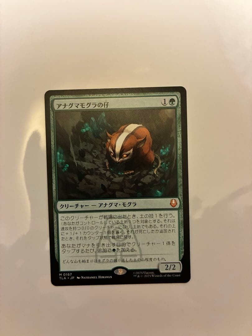 アナグマモグラの仔 日本語1枚