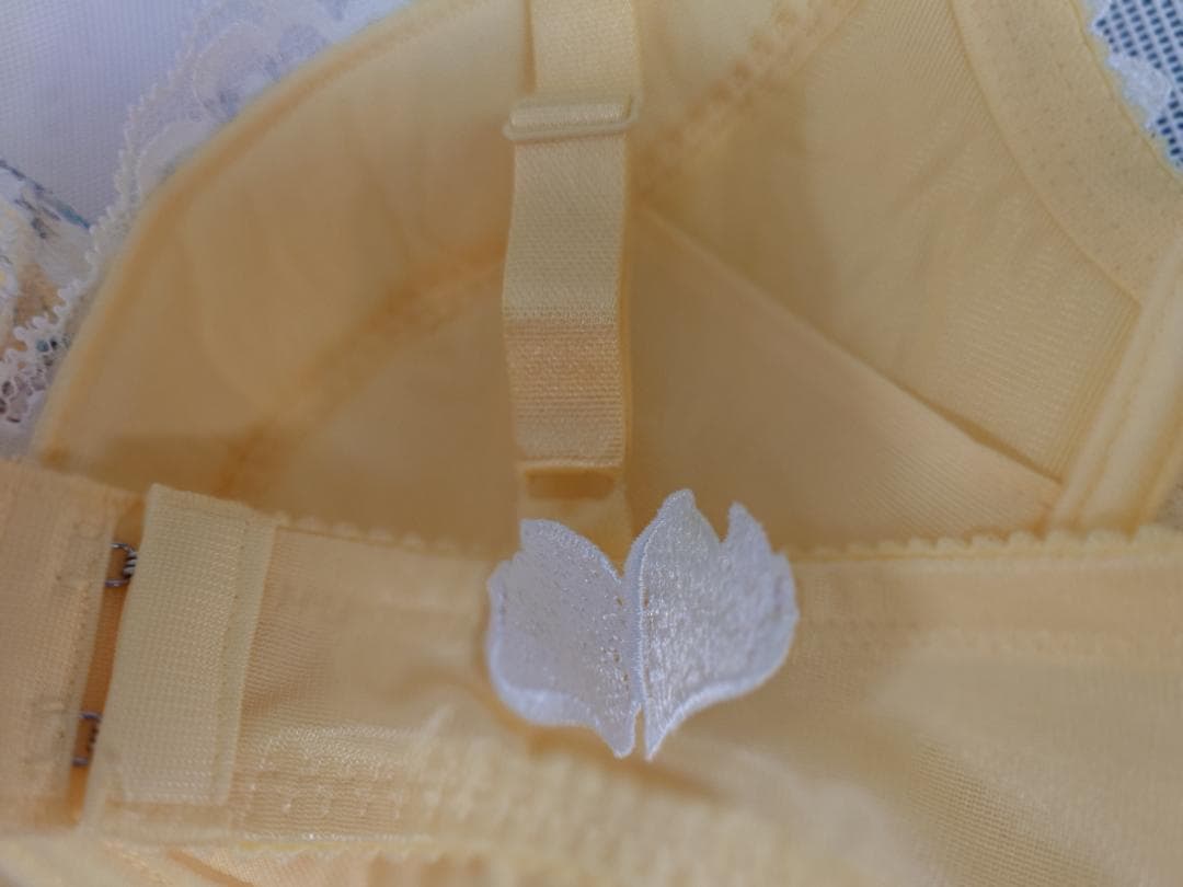 サルート BTJ401 F70