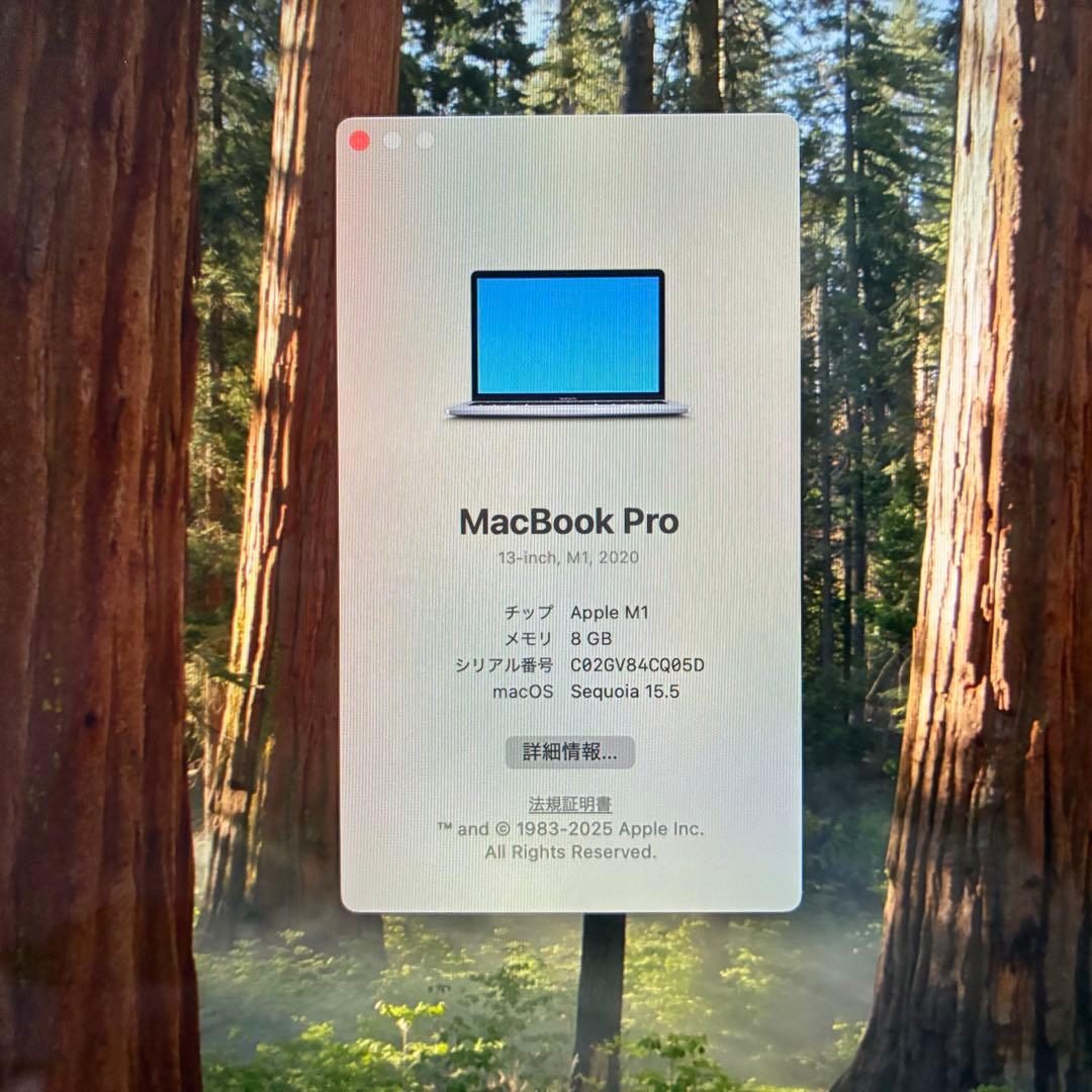 【バッテリー100%】MacBook Pro M1 2020 スペースグレイ