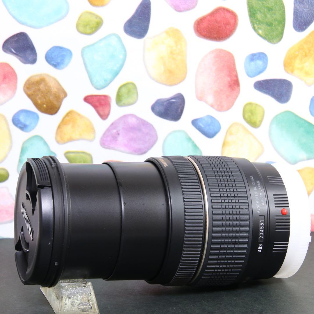 ♥︎◇広角から望遠までOK♪ ◇TAMRON 28-200mm ◇ソニー