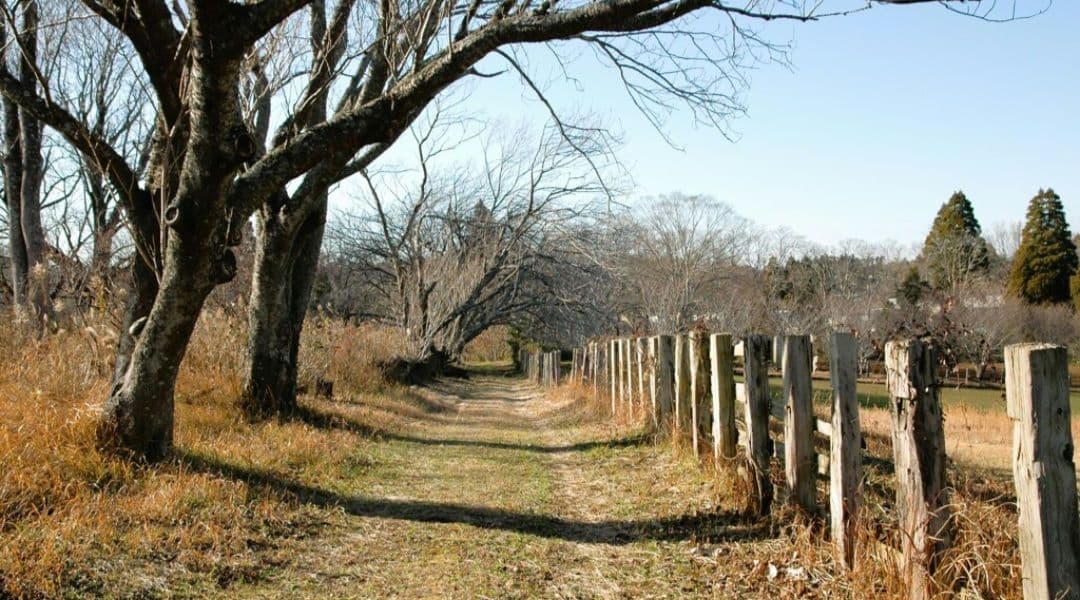 NIKON　D70　ダブルレンズ⚡️初心者⚡️一眼レフ⚡️ニコン⚡️望遠