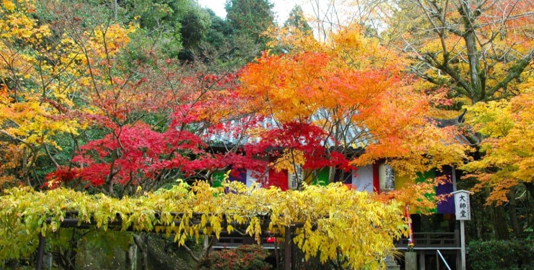 NIKON　D70　ダブルレンズ⚡️初心者⚡️一眼レフ⚡️ニコン⚡️望遠