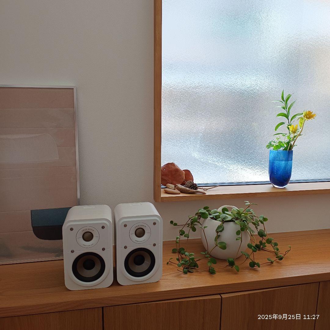 polk audio ES10 白 綺麗