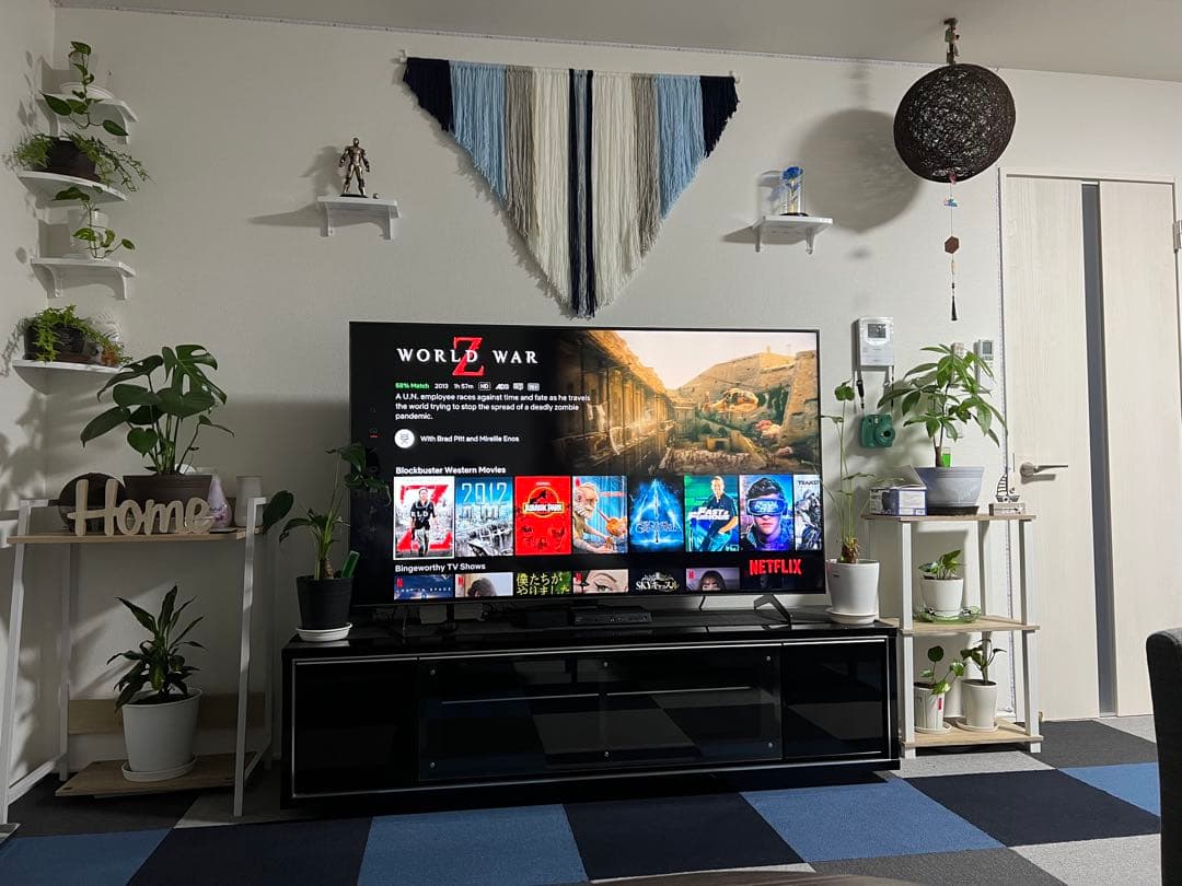 SONY BRAVIA 65インチ