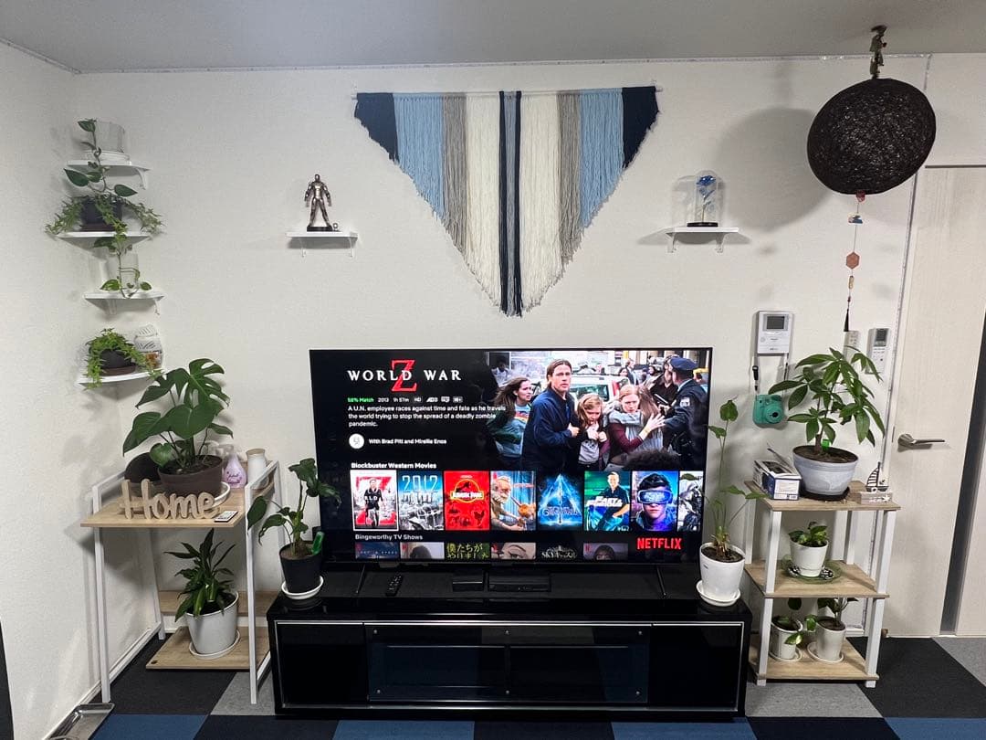 SONY BRAVIA 65インチ