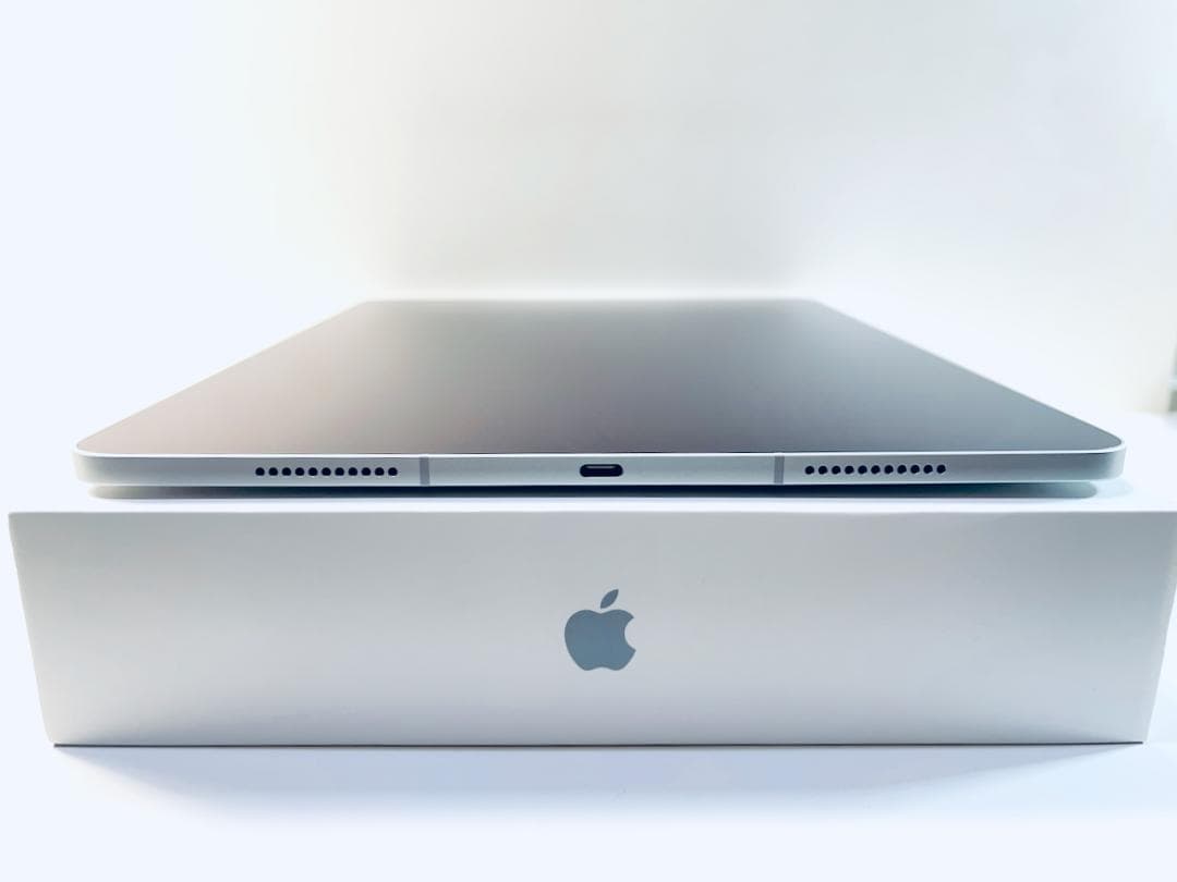 新品同様 iPad Pro 12.9インチ 第5世代Cellular 256GB