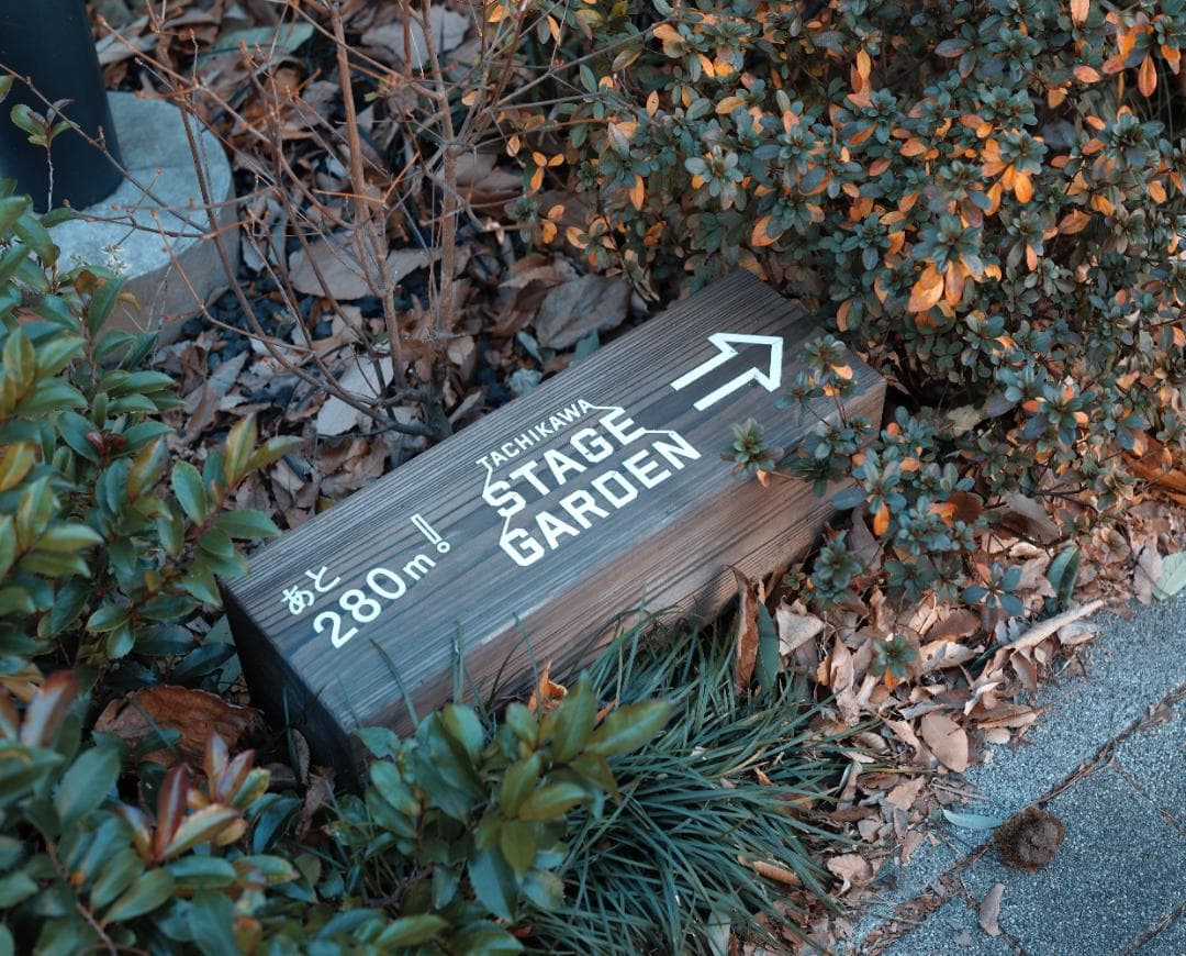 【割引中】SIGMA fp フルセット（45mmレンズ付・他多数）【動作良好】