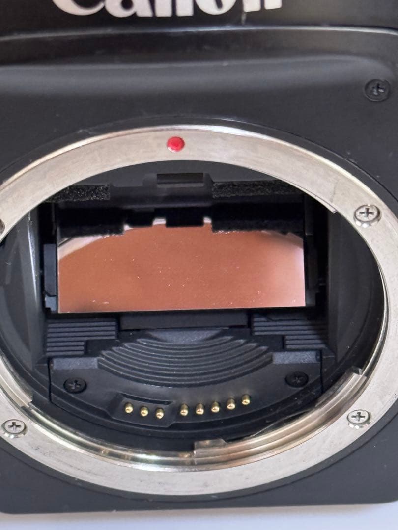 Canon EOS-1V Film キャノン フィルム 一眼レフカメラ