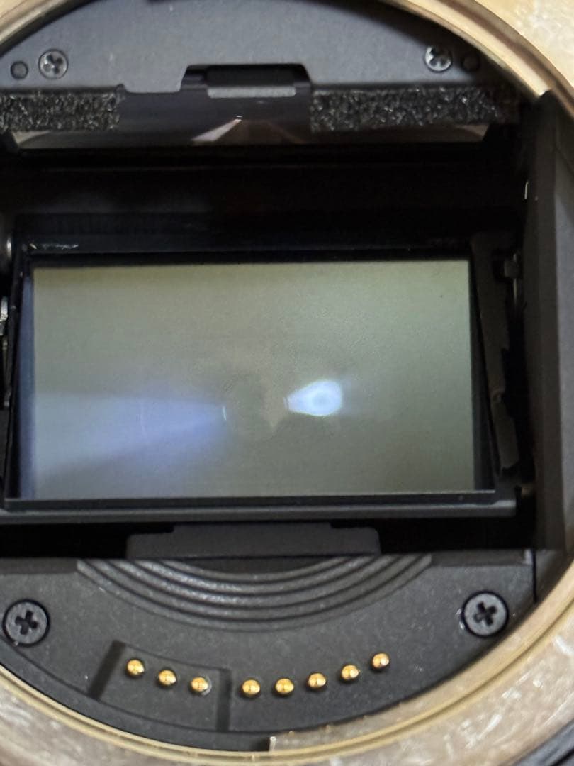 Canon EOS-1V Film キャノン フィルム 一眼レフカメラ