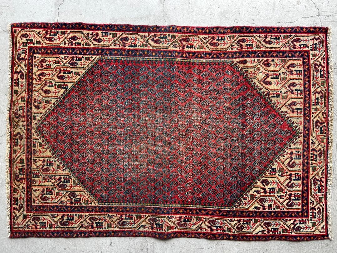 Vintage rug｜151 × 102cm｜バクティアリ族｜ボテ ペイズリー