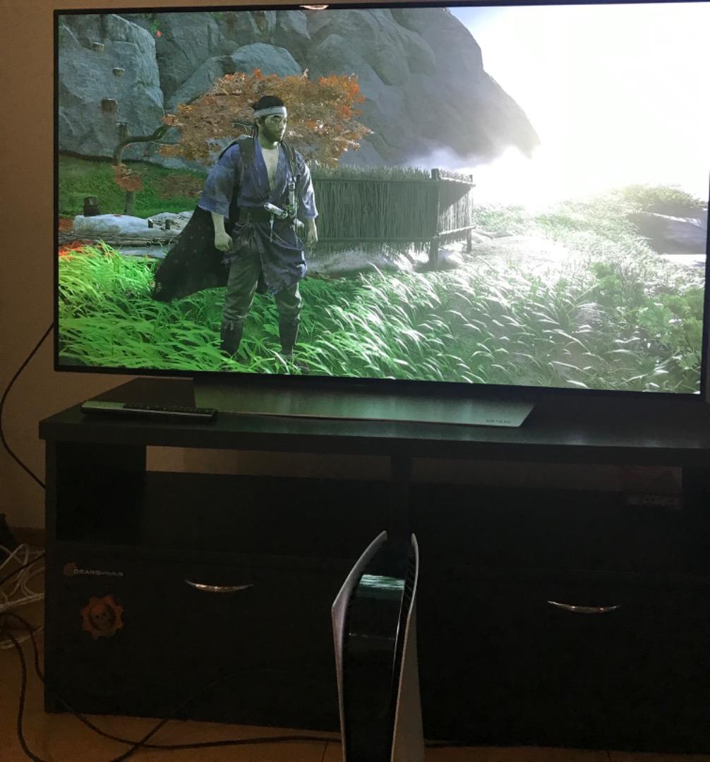 テレビ LG OLED 55v C7with Burn in pickup only