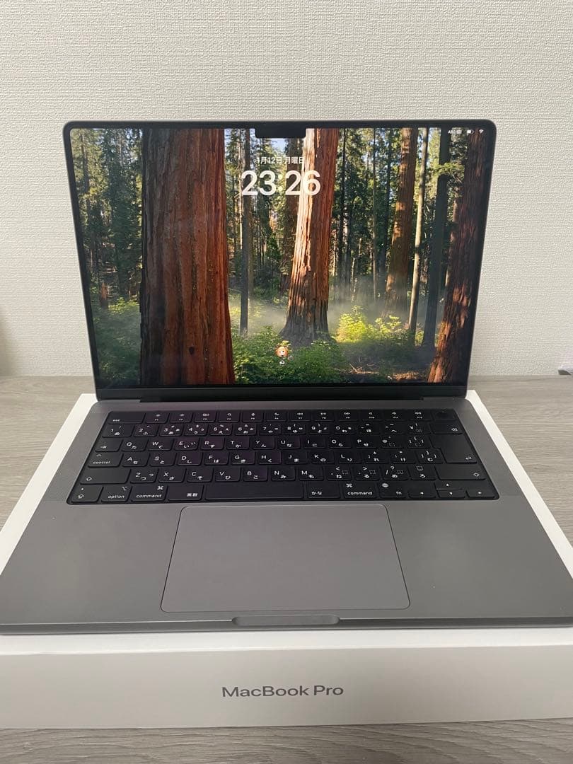 【美品】Apple M3チップ搭載14インチMacBook Pro