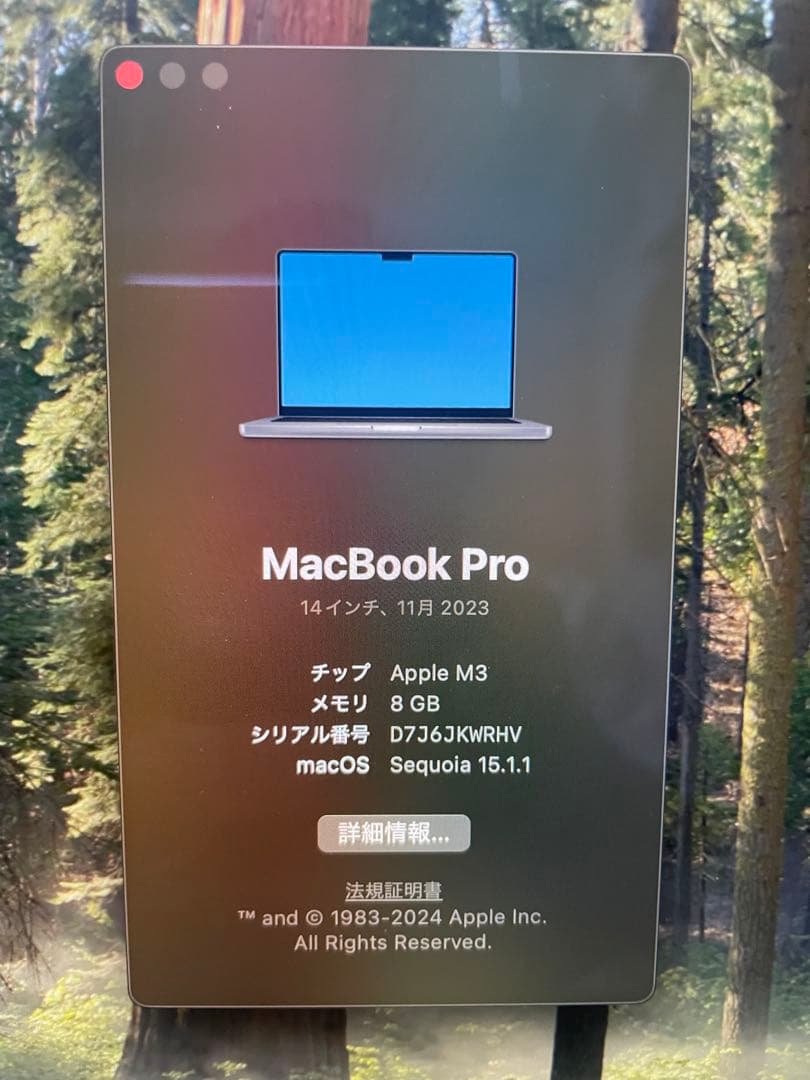 【美品】Apple M3チップ搭載14インチMacBook Pro