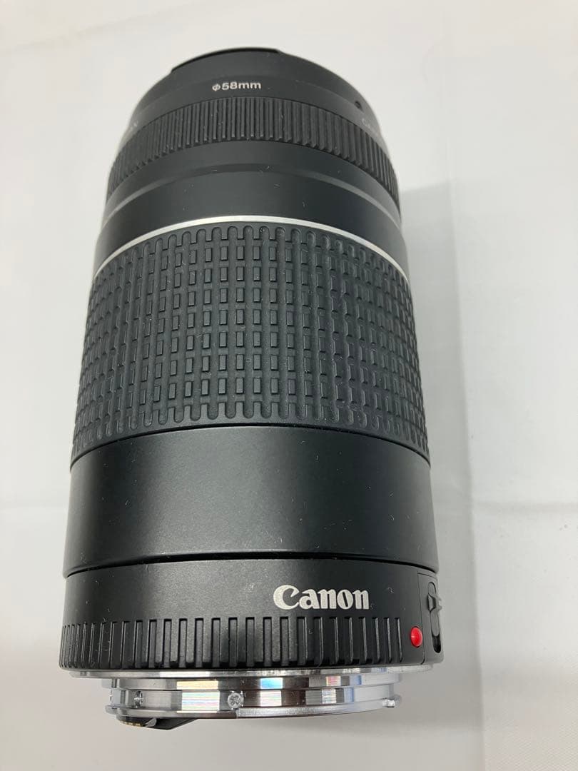 21）超望遠 CANON EF75-300mm F4-5.6 III USM