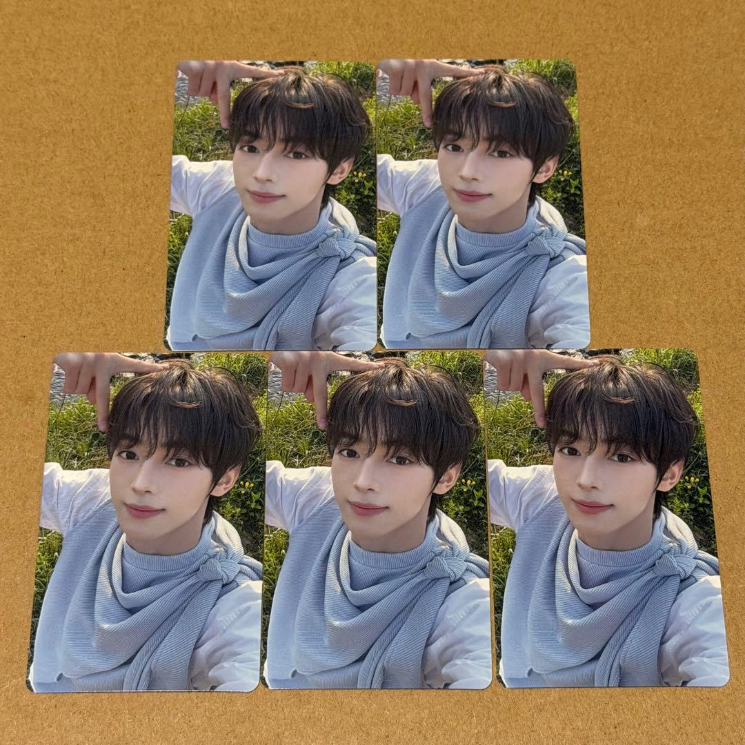 ハンジン　ラキドロ　トレカ　5枚　タワレコ　はじめまして　TWS