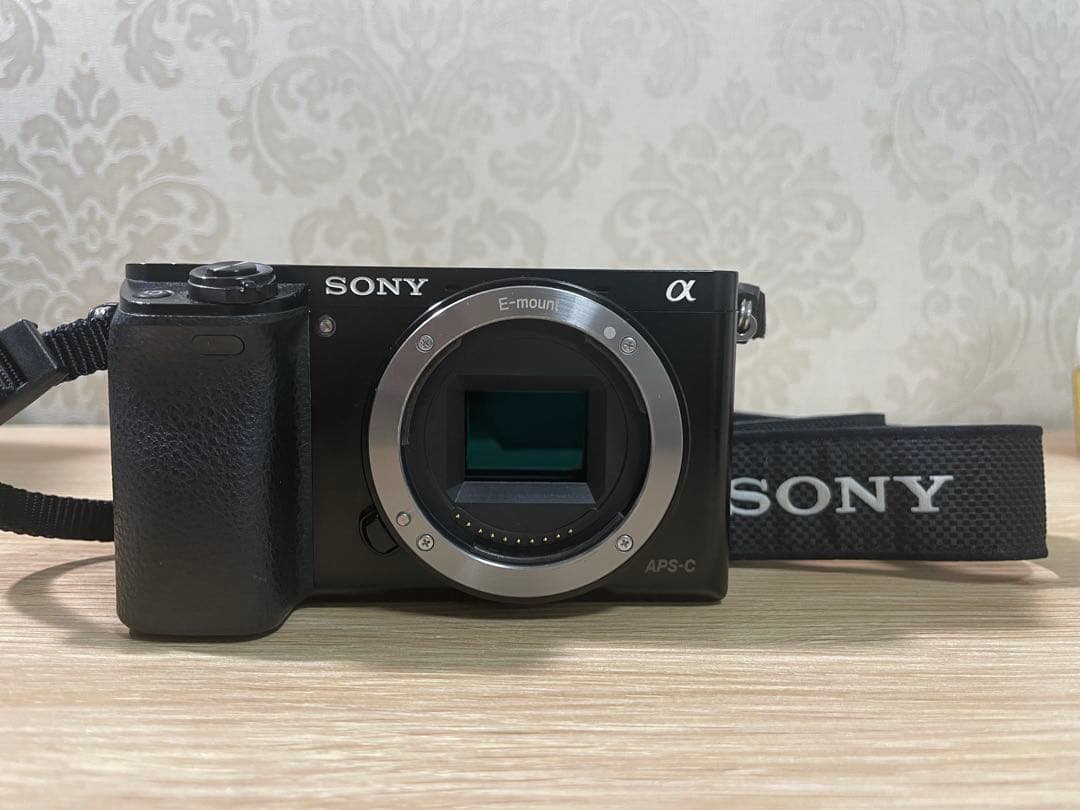 SONY α Eマウント +キッドレンズ16-50mm +SONY純正バッグ