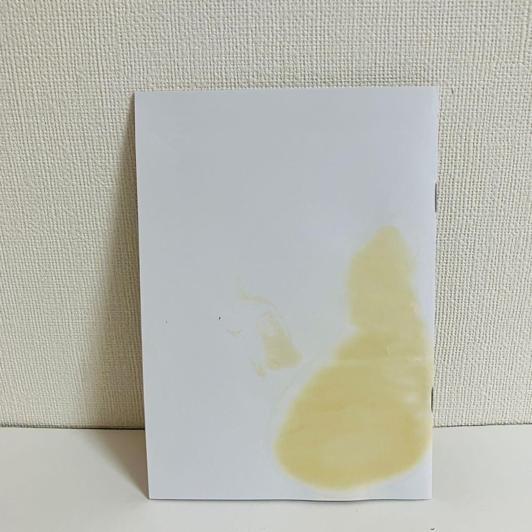 STELLA BEAUTE IPL&LED光美容器 ムダ毛ケア＆超透明肌