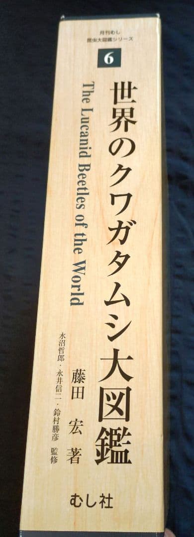 世界のクワガタムシ大図鑑 6