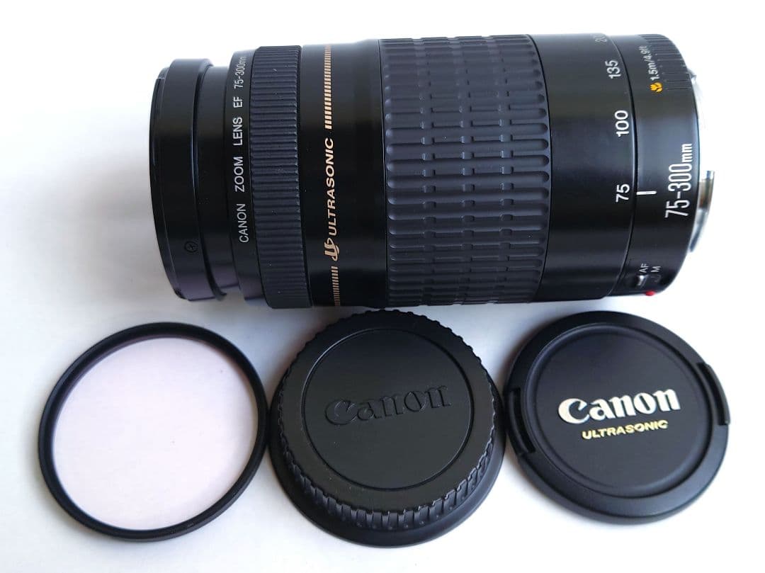 レンズ(ズーム) Canon EF 75-300mm 1:4-5.6 ULTRASONIC