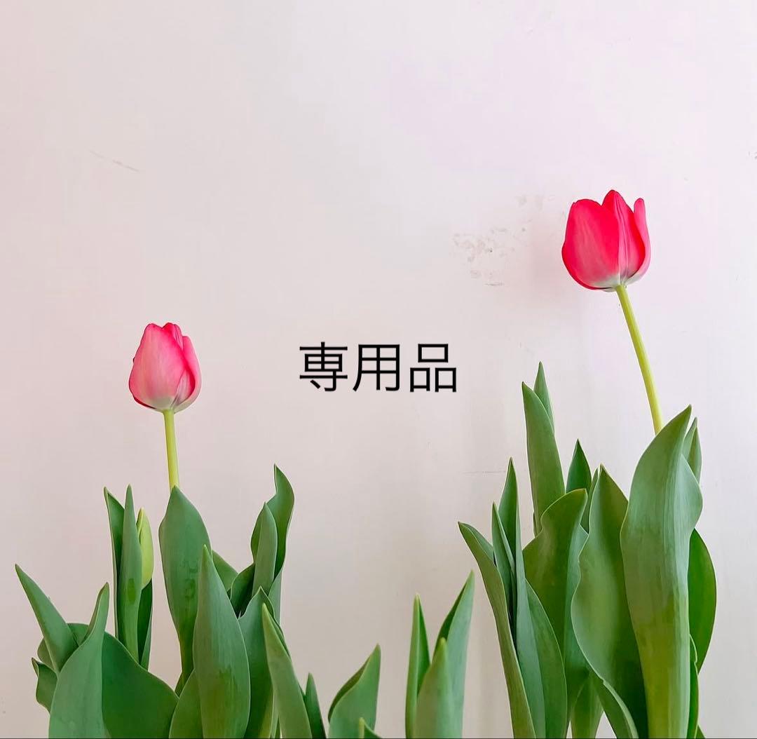 ttt19品　VOS３点セット ×2セット