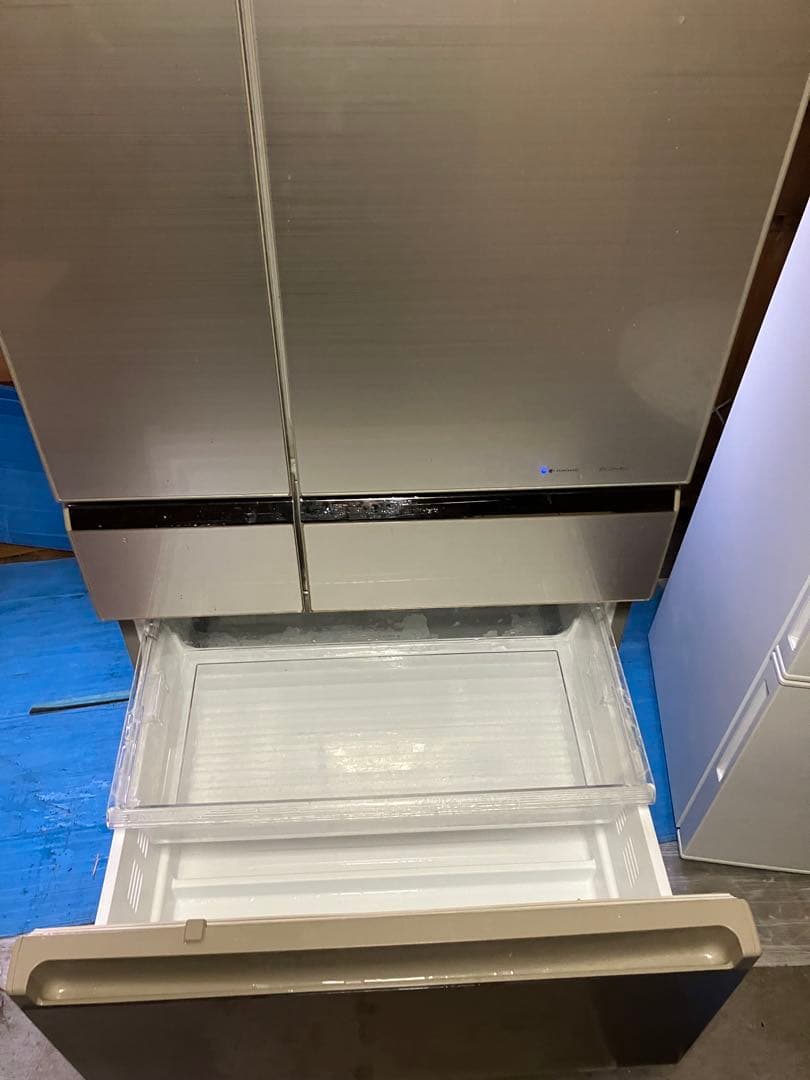 wisteria Near 11/16配達予定