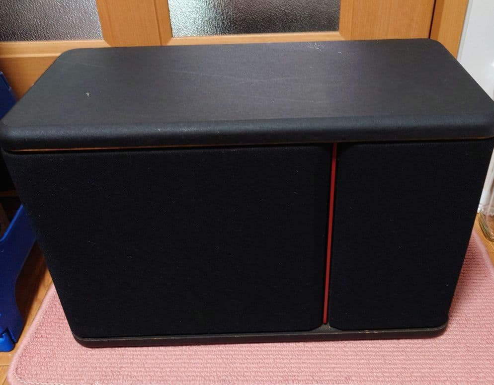 山口竜　BOSE 301-AV monitor スピーカー ペア