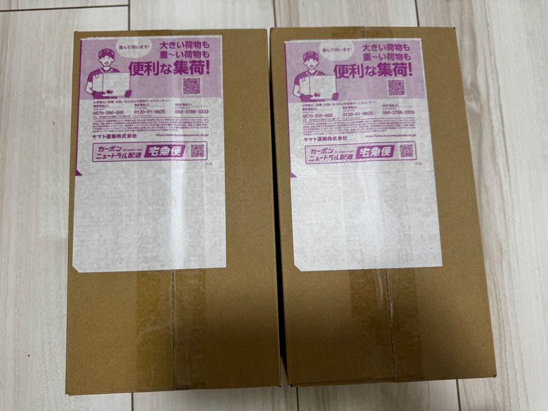 【完全未開封2BOX】ポケモンセンターヒロシマ　スペシャルBOX