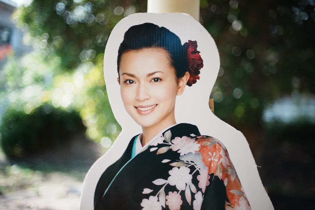 【整備＆テスト済】ニコン New Nikkor 50mm F1.4 後期 499