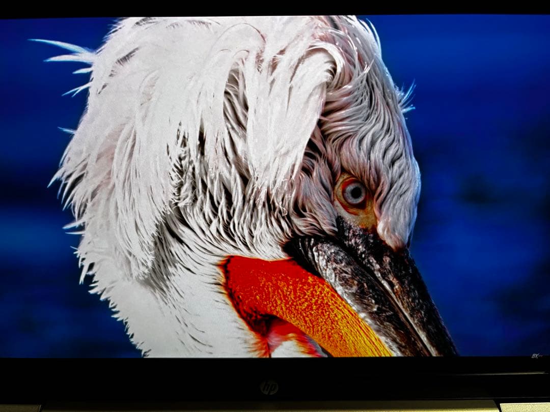 HP Pavilion Plus Laptop 14 2.8k液晶 SSD1TB